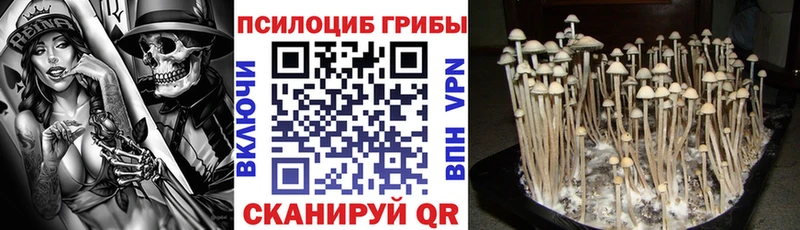 Галлюциногенные грибы Psilocybine cubensis  наркотики  Благовещенск 
